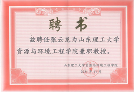 专家团队