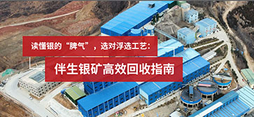伴生银矿浮选回收指南