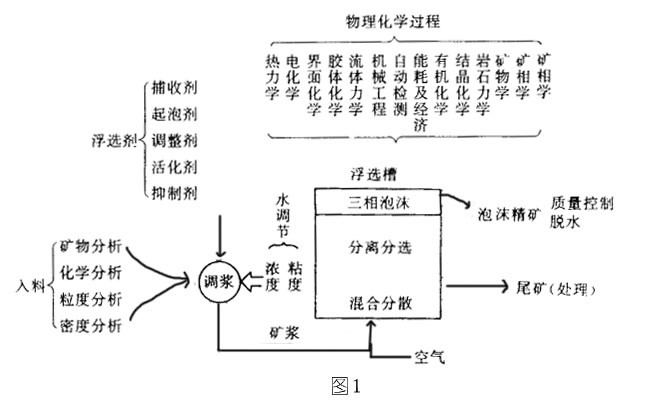 浮选机泡沫浮选的过程和基本概念