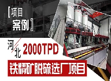 【项目案例】河北2000TPD铁精矿脱硫选厂项目