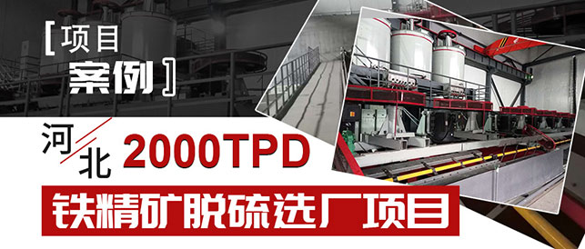 【项目案例】河北2000TPD铁精矿脱硫选厂项目