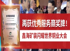 鑫海再获优秀服务商奖牌