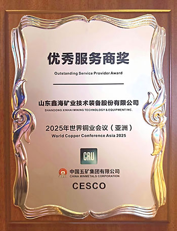 优秀服务商奖牌