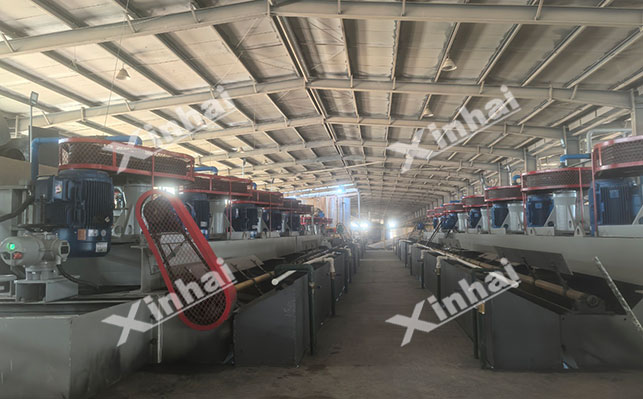 中国山东1000t/d金尾矿再选项目