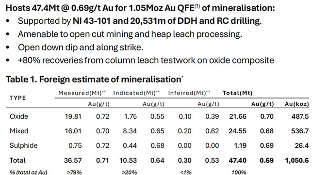 智利潘塔尼罗金矿 智利潘塔尼罗金矿