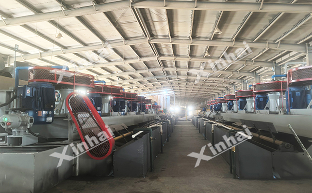 山东1000t/d金尾矿再选项目现场