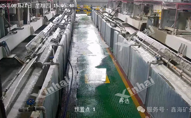 鑫海锂云母浮选系统